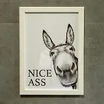 Appartement Blue Chili 32 - Stadtwohnung Fuer 3 Modern Zentral Karlshorst Wlan Berlijn